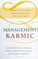 Management karmic